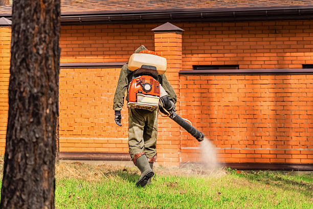 Bed Bug Clearance Verification and Documentation in Westmoreland